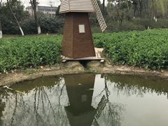 -圩墩遗址公园