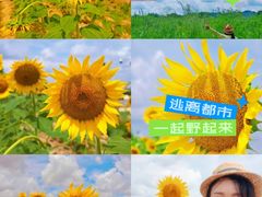 -光明小镇欢乐田园