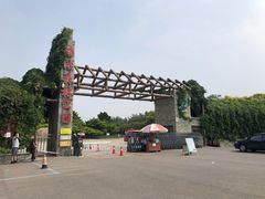 -塘沽森林公园