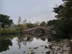 -桂湖森林公园