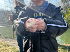 -绍兴大禹开元观堂-若耶厅