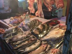 -新疆风味冷水鱼庄(友谊峰路店)