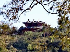 -永定河休闲森林公园