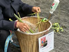 -恩阳古镇