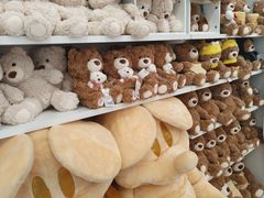 -盛京大奥莱(沈阳奥体店)