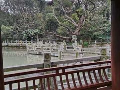 -汇龙潭