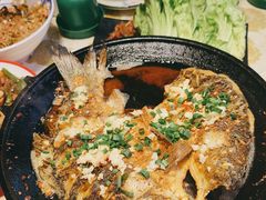 -张肴肴张记大排档(涉外店)