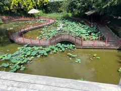-珠海圆明新园