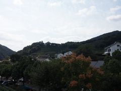 -龙井村