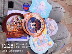 -上海迪士尼度假区