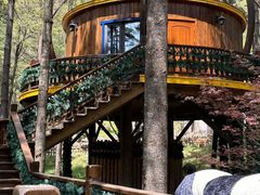 -洛阳白云山景区