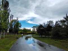 -东郊湿地公园