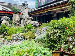 -山菌美食苑(振兴路店)