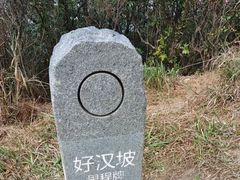 -梧桐山风景名胜区