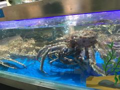 -盒马鲜生(悦峰店)