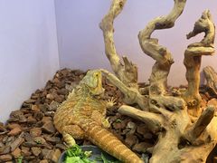 -昆明大悦城未来动物城(螺蛳湾中心店)