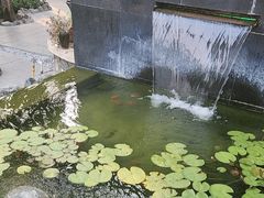 -蘇河湾·新鲁菜·泰山宴(泰山店)