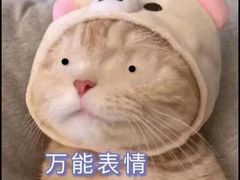 -井格·重庆火锅(王府井店)