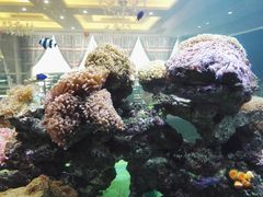 鱼池-超级厨房概念餐厅(奥园广场店)