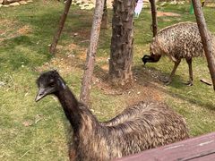 -灵玲国际马戏城