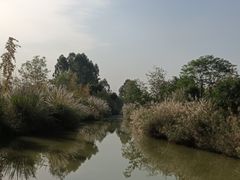 -白鹭湾湿地公园
