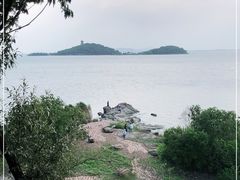 -上海市保健医疗中心