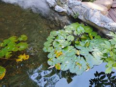 -花锦堂·隐庐