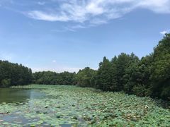-东湖落雁景区