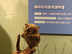 -陕西自然博物馆