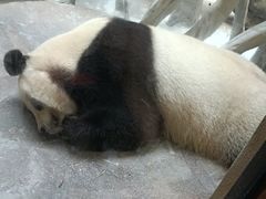 -宁波野生动物园