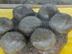 -诸城市恐龙博物馆