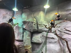 -Zoolung Zoolung动物主题公园(海信广场店)