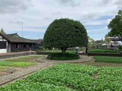 -张闻天故居
