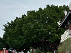 -中国闽台缘博物馆