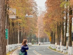 -南沙天后宫景区
