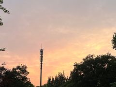 -上海滨江森林公园