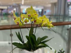-首开·龙湖成都西宸天街