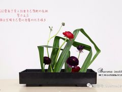 -荷兰布尔玛国际花艺学院