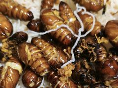 -和源祥·日照菜扛把子(万平口一店)