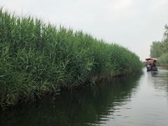 -白洋淀景区