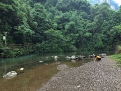 -华蓥山天意谷景区