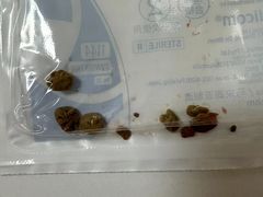 -北京观赏动物医院·24小时大型综合·猫专科·异宠专科