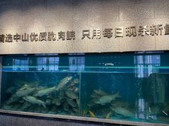 水产区-淘米捞·米汤脆鲩鱼火锅(福田皇岗店)