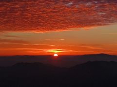 -黄山玉屏楼宾馆餐厅