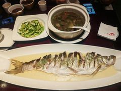 清蒸大白鱼-松鹤楼(山塘街店)