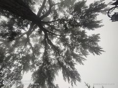 -天津盘山风景名胜区