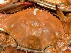-北塘海鲜·天津菜·鲅鱼水饺是一绝(大光明桥旗舰店)