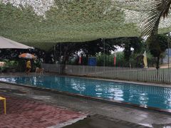 -良成狗狗乐园