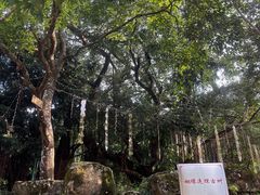 -广东天露山旅游度假区