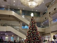 -上海齐鲁万怡大酒店·辣椒屋咖啡厅